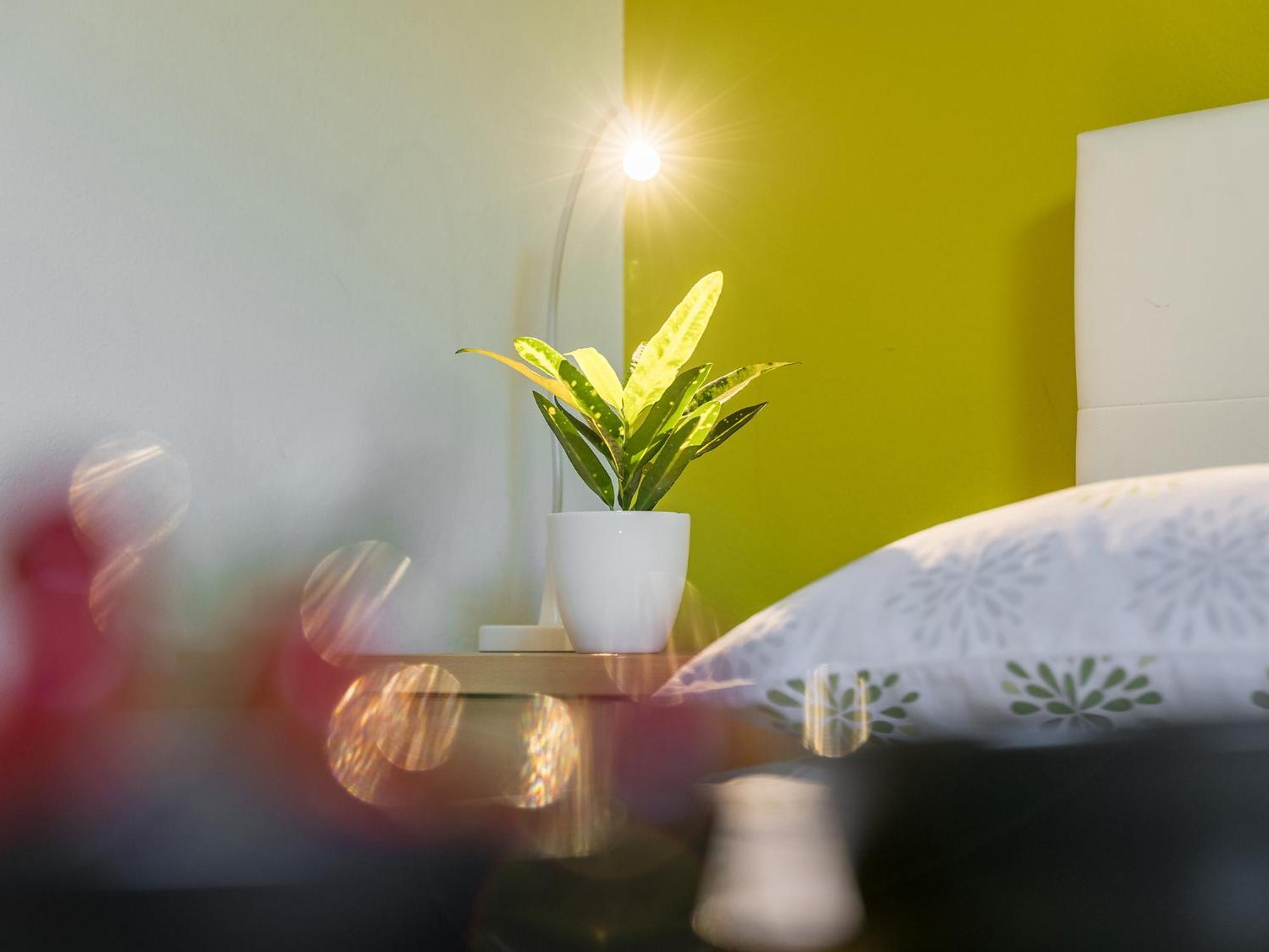 Spadici Luna Apartmán Porec